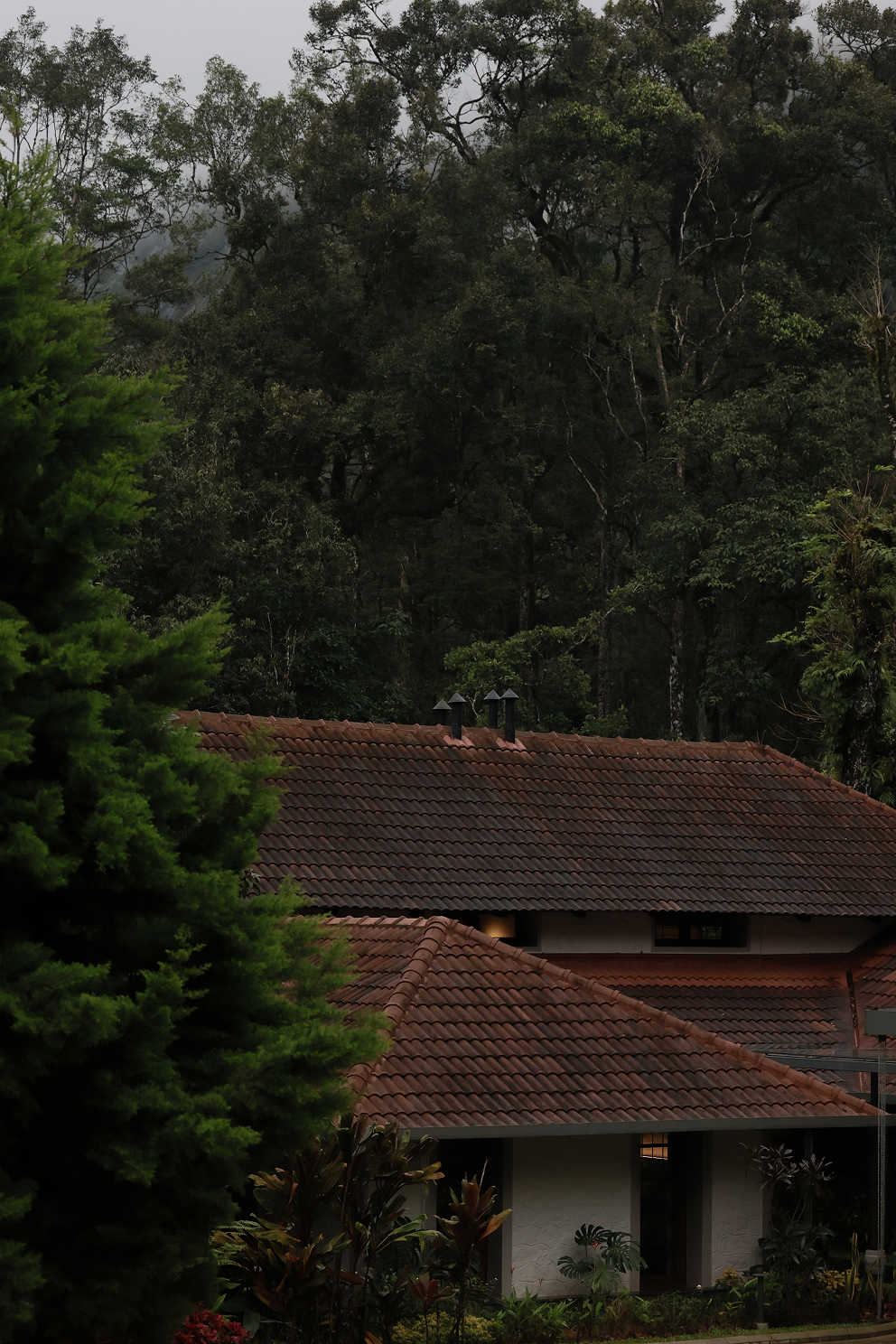 Aelam Acres Granary, Kerala - view 2