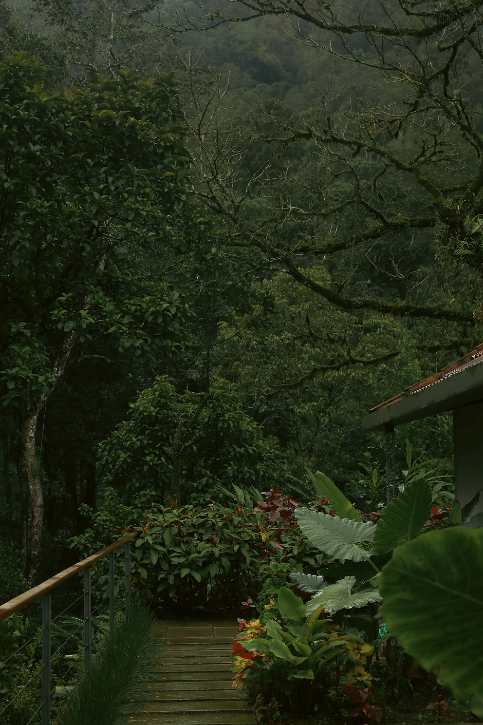 Aelam Acres Granary, Kerala - view 4