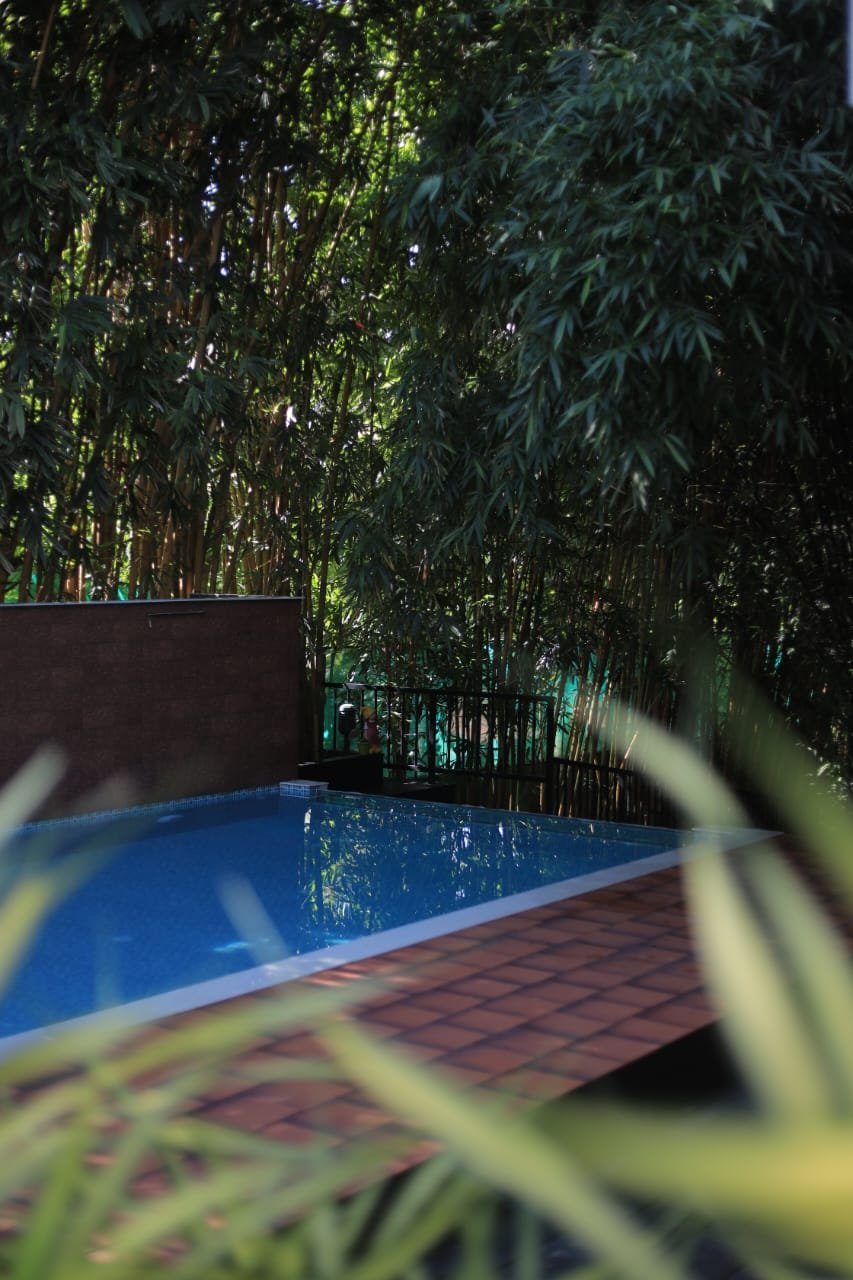 Green Trees, Athirapally - view 12