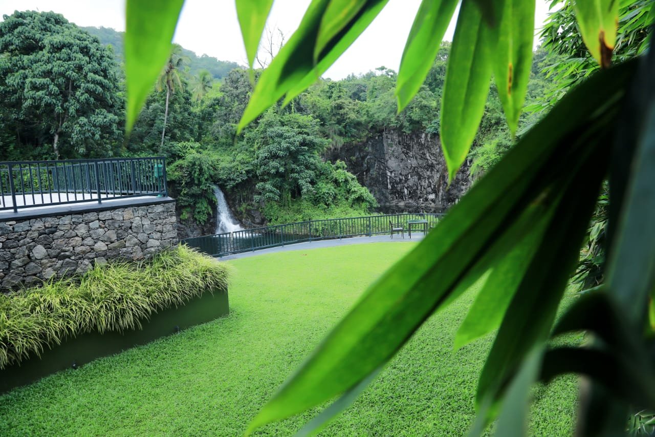 Green Trees, Athirapally - view 15