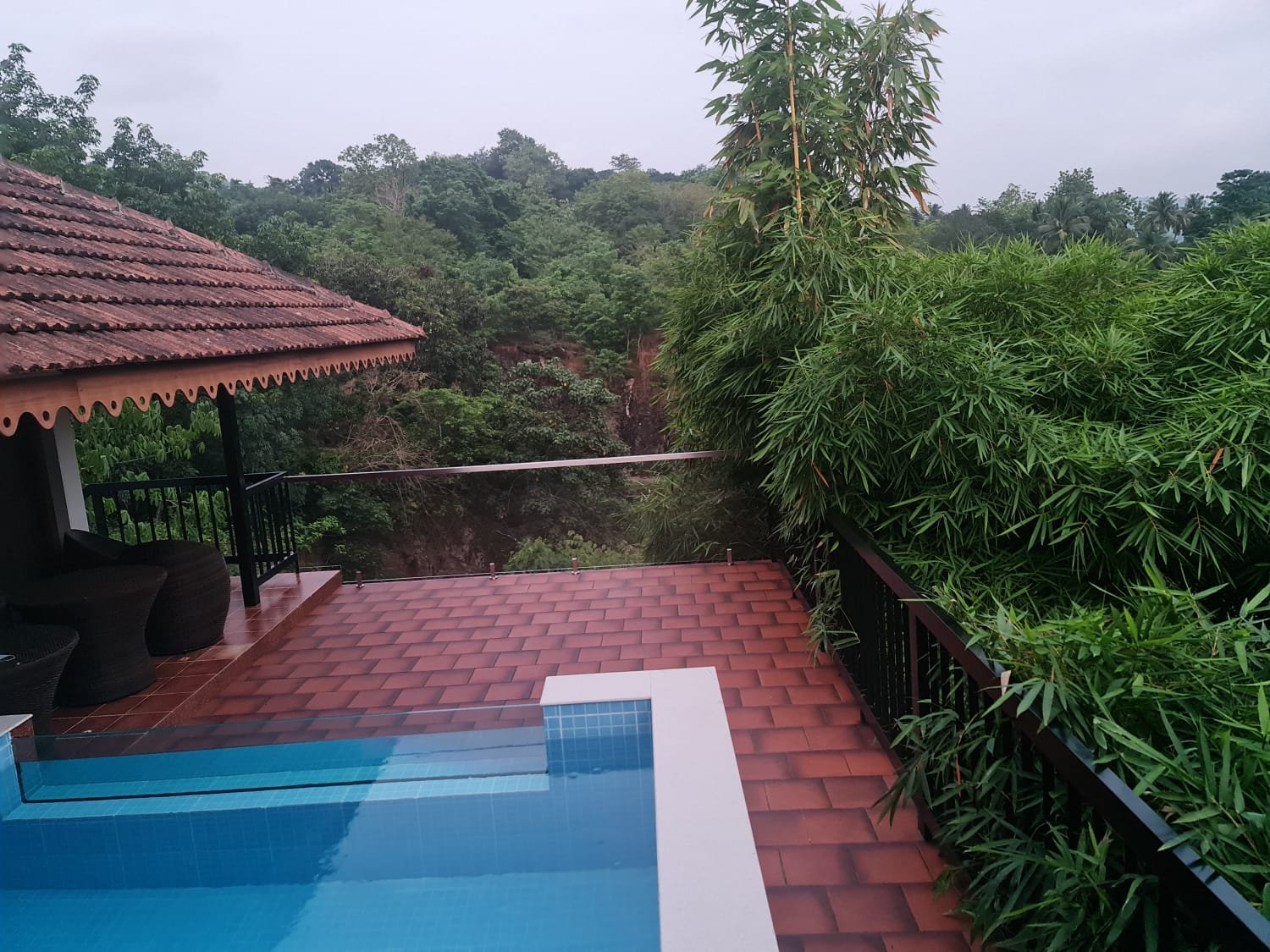 Green Trees, Athirapally - view 3