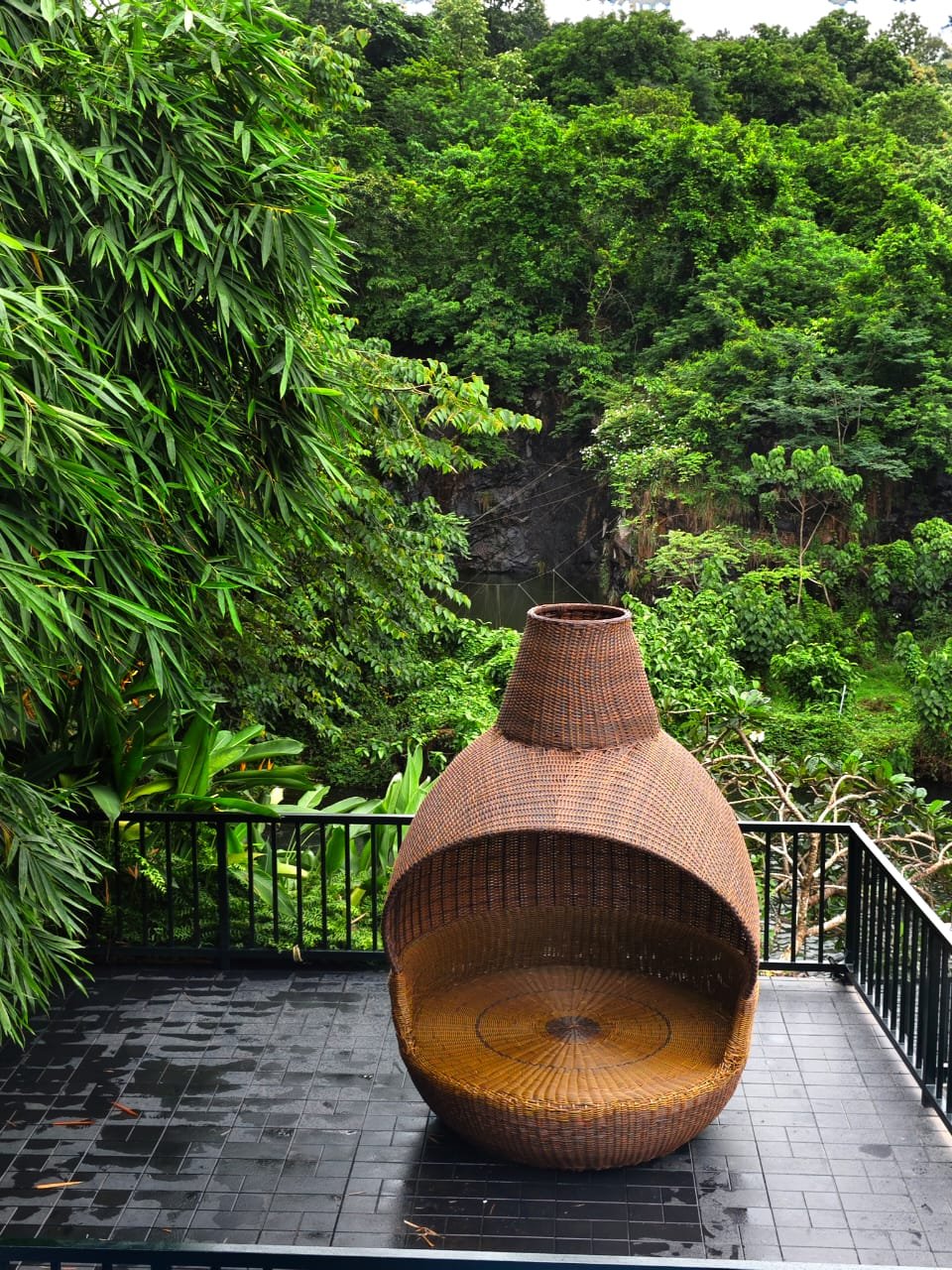 Green Trees, Athirapally - view 38