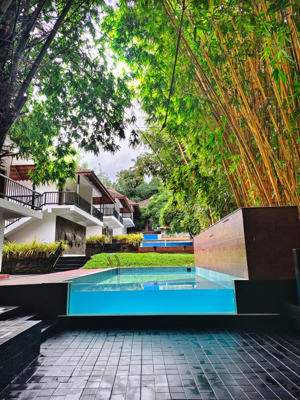 Green Trees, Athirapally - view 40
