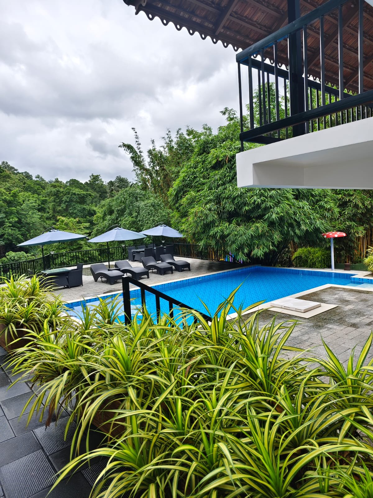 Green Trees, Athirapally - view 44