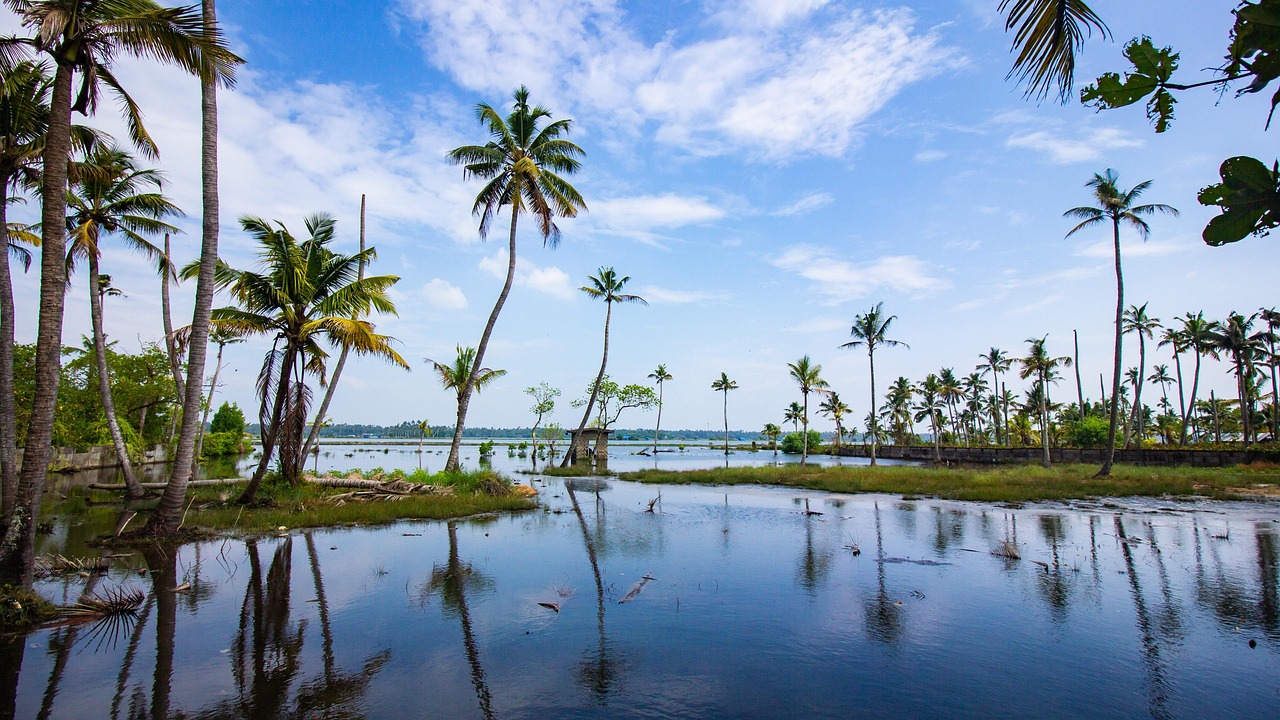 North Malabar Heritage Table cultural landscape