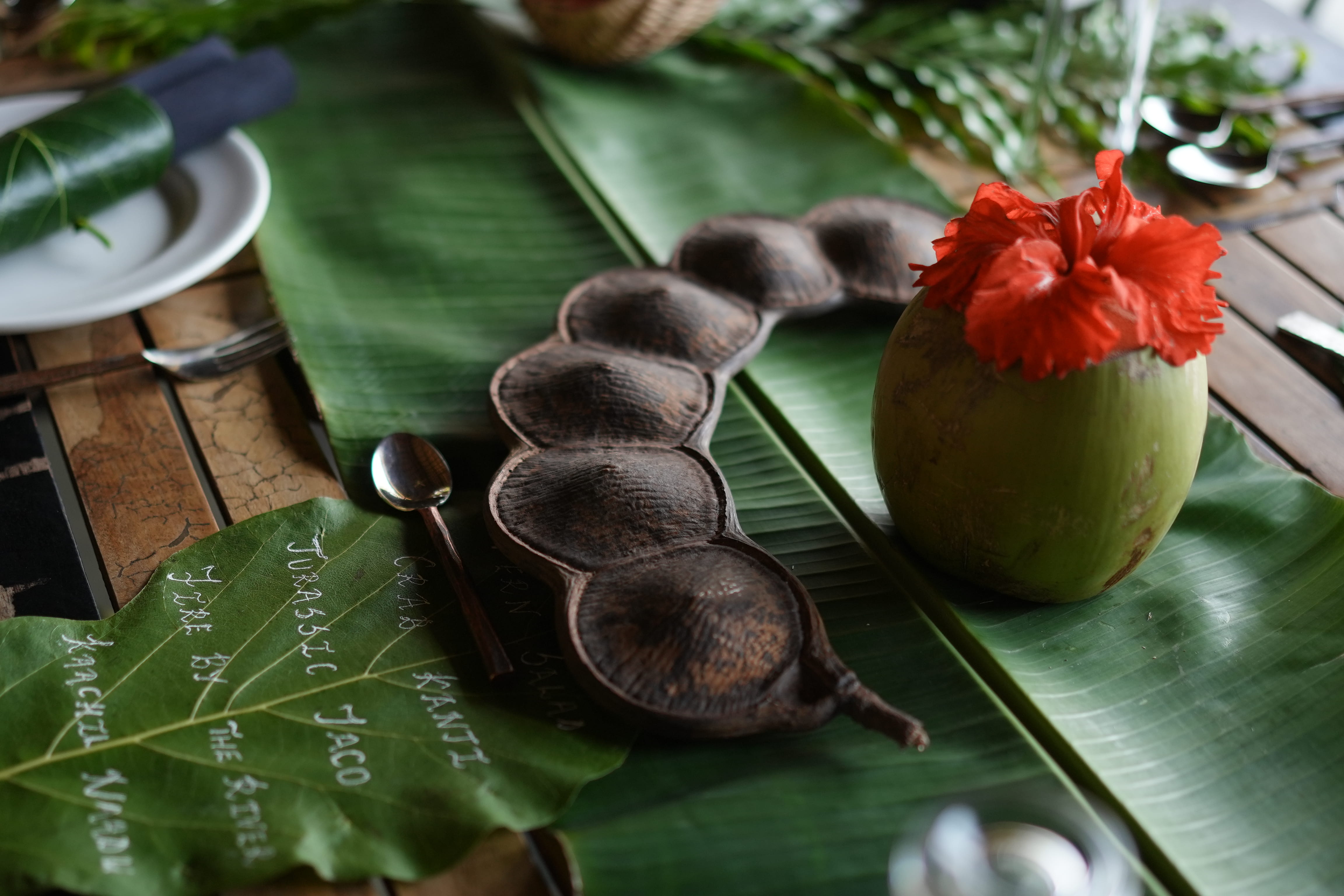 Blue Lotus guests gathered for an outdoor cultural session in Kerala.